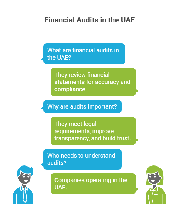 financial audit in the uae